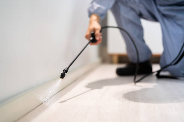 Licensed Termite Control service in Mount Shasta, CA - Nex Pest Control
