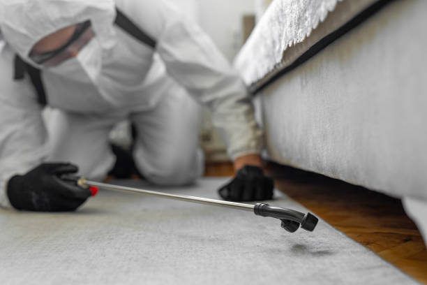 Professional Termite Control technician working in Mount Shasta, CA
