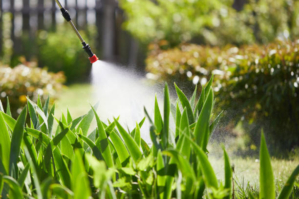 24/7 Emergency Termite Control experts in Mount Shasta, CA