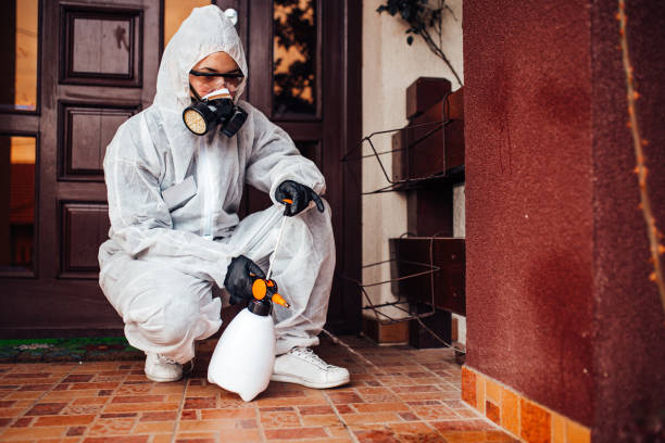 Reliable Termite Control contractor in Mount Shasta, CA by Nex Pest Control